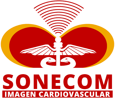 Miembro de la SONECOM, Sociedad Nacional de Ecocardiografía de México.